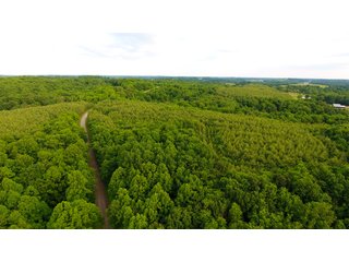 TRACTS 4 & 5 - LAND AUCTION - 1,050+/- ACRES OFFERED IN 21 TRACTS PLUS 450+/- ACRE HUNTING LEASE IN MUSKINGUM COUNTY, OHIO